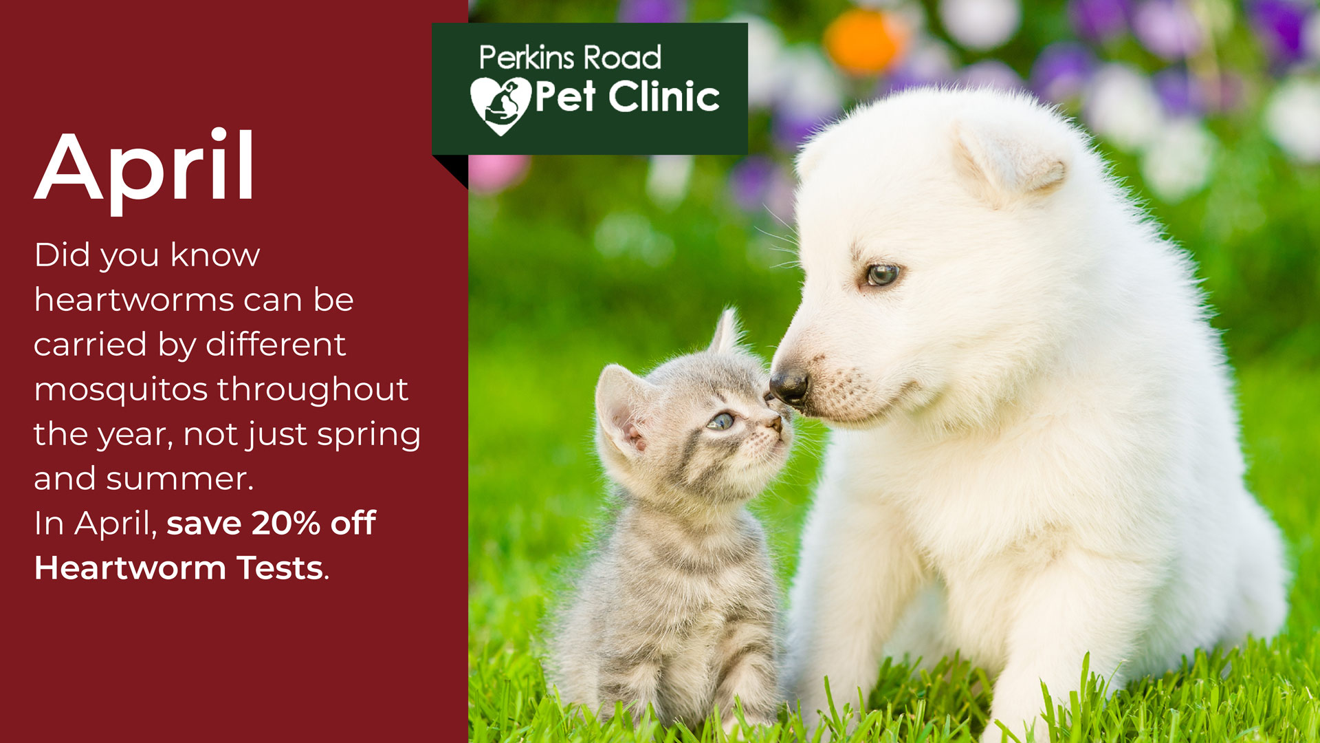 Specials Perkins Road Pet Clinic